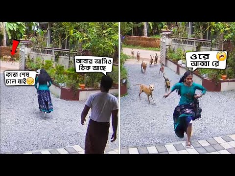 পশু পাখিদের মজাদার কান্ড ক্যামেরায় ধরা পড়া🤣Animal funny video। Mayajaal।jk info Bangla।funny animal