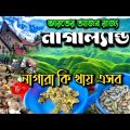 নাগাল্যান্ড ভ্রমণ – Nagaland / nagaland tour plan / Dzukou Valley / Bangladesh To Nagaland India
