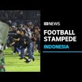 Indonesia police say more than 170 people killed after stampede at football match | ABC News
