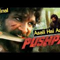 Pushpa Full Movie Hindi | Allu Arjun | Rashmika Mandanna | New Hindi Dubbed Movie 2022 | South Movie