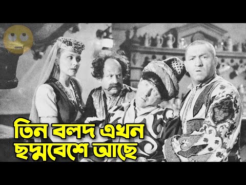 Three Stooges now in disguise | Bangla Funny Dubbing | Bangla Funny Video | Khamoka tv