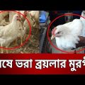 বিষে ভরা ব্রয়লার মুরগী | Public View | Bangla News | Mytv News