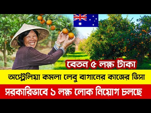 সুখবর 🔴 অস্ট্রেলিয়া কমলা লেবু বাগানে কাজের ভিসা  সকল খরচ কোম্পানির Australia Work Permit Visa 2022