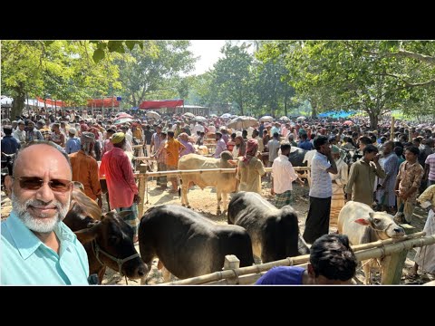 গ্রামের বিশাল সাপ্তাহিক হাট। Village Market in Bangladesh. Sirajganj Tour Vlog #1