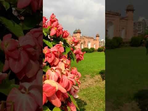 লালবাগকেল্লা, ঢাকা | lalbagh fort #shorts #travel #bangladesh