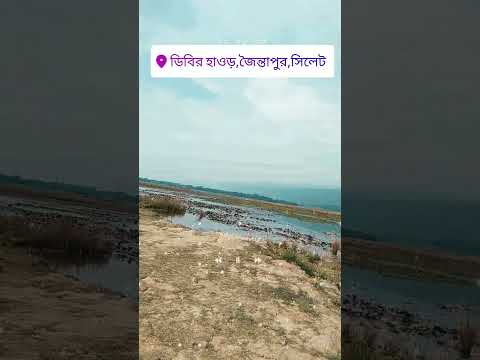 শাপলা বিল, সিলেট।  #travel #vlog #travelvlog #সিলেট #viral #bangladesh #travelvlog #nature #shorts