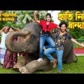 হাতি নিয়ে  ধান্দাবাজী |  hati niye dhandabazi |  | othoi | Rubel | Bangla natok | music Bangla tv
