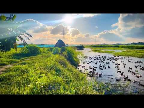 Most Beautiful View//@Travel Bangladesh @YouTube