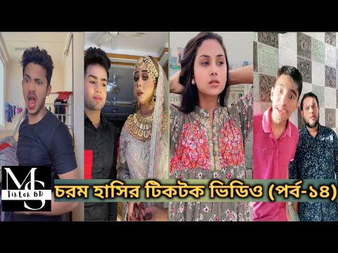 Tiktok funny video part-14 |  Bangla tiktok funny video | #mstiktokbd