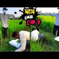 কাকতাড়ুয়া; ঘাস নেয় কে??? | Bangla Funny Video | Hello Noyon