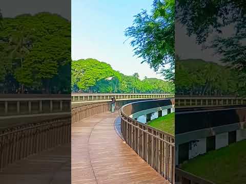 Travel To DHAKA Romna Park #youtubeshorts #vairalvideo #vairal #dhaka #bangladesh #romac #ramnapark