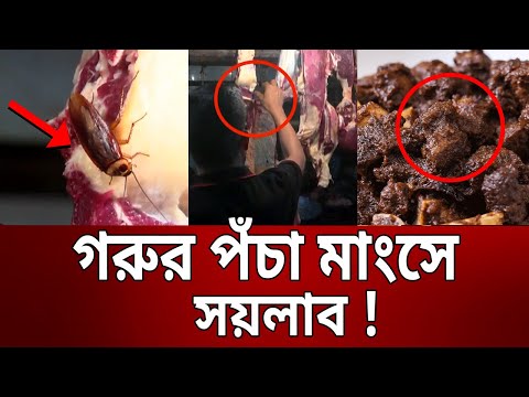 গরুর পঁচা মাংসে সয়লাব ! | Public view | Crime | Bangla News | Mytv News