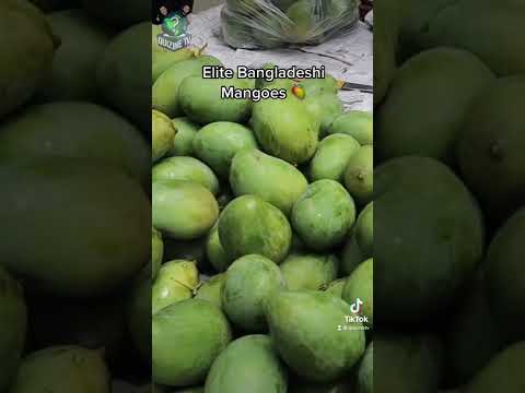 Elite Bangladeshi Mangoes #shorts #bangladesh #banglanews #bangladeshi #Foodie #travel