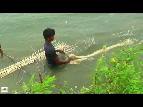 Travel Village and River of Bangladesh | River Journey by Boat of Village | Life of Village People