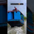 || Sundarbans Tour || #sundarban #tour #mangrove #munshiganj #travel #bangladesh #shorts #video