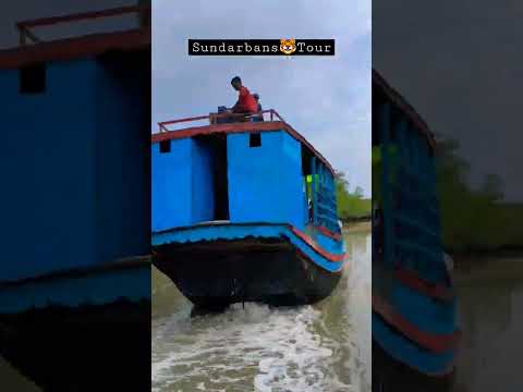 || Sundarbans Tour || #sundarban #tour #mangrove #munshiganj #travel #bangladesh #shorts #video