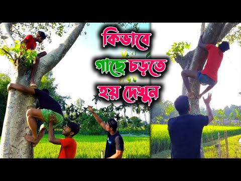 যেমন নয়ন; তেমন নালু! একেবারে Tom&Jerry | Bangla Funny Video | Hello Noyon