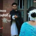 Tui Amar Aashiqui Re 🌼 (তুই আমার আশিকী রে) Bengali lofi song 🎧 (Slowed+Reverb)🌟