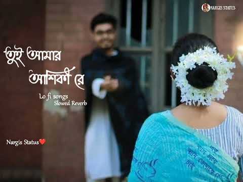 Tui Amar Aashiqui Re 🌼 (তুই আমার আশিকী রে) Bengali lofi song 🎧 (Slowed+Reverb)🌟