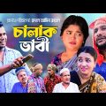 চালাক ভাবী | সিলেটি নাটক | CHALAK VABI | SYLHETI NATOK | TERA MIAH NEW NATOK | MOINUDDIN NEW NATOK