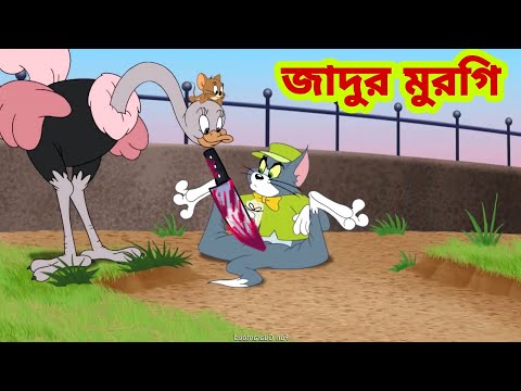 Tom and Jerry | Tom and Jerry Bangla | cartoon | Tom and Jerry cartoon | Bangla Tom and Jerry