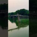 Trimohoni Bamboo Bridge #shorts #beautiful #ytshorts #nature #travel #bangladesh