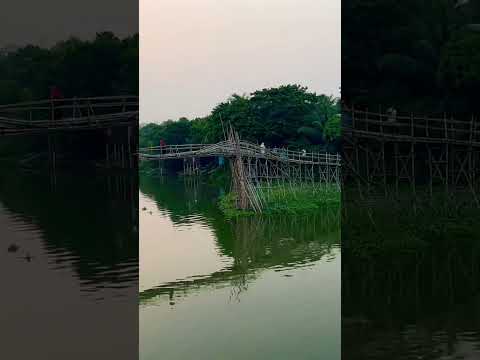 Trimohoni Bamboo Bridge #shorts #beautiful #ytshorts #nature #travel #bangladesh