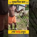 লুচ্চামির ফল 😄| bangla funny video#shorts #youtubeshorts #viral_shorts #m.m_fact