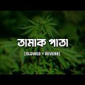 Tamak Pata [ Slowed × Reverb ] Ashes Bangladesh | Bangla Lofi Music | Slowed World
