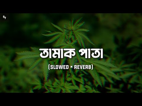 Tamak Pata [ Slowed × Reverb ] Ashes Bangladesh | Bangla Lofi Music | Slowed World