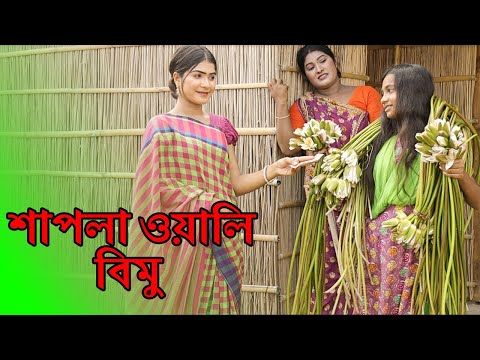 শাপলা ওয়ালি বিমু | Shapla owali bimu | বিমুর নতুন শর্টফ্লিম | Bimu Khandakar- অনুধাবন | Bangla Drama