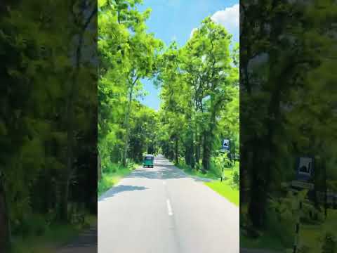 Beautiful Nature |Wonderful Road in Bangladeshi place |Gazipur |Travel Vlog |Mahbubzxu