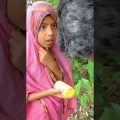 গু পরীক্ষা😂/#shortvideo #viralvideo /Bangla new funny video 2022/Funny Tiktok Short Video 2022/Funny