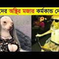 পশুদের মজার কর্মকান্ড ক্যামেরায় ধরা পড়া | Funny Animals Video 2022 (Part-9) | mayajaal