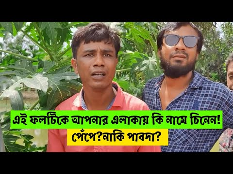 এই ফলটিকে আপনার এলাকায় কি নামে চিনেন! পেঁপে?নাকি পাবদা? ইসমাঈল ভাই ! H M Enamul Hasan