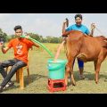 New Funny Video 2022 😂Must Watch Superhit Comedy Video Episode180 Byfunny Day