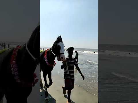 Incredible Cox's Bazar #coxsbazar #bangladesh #seabeach #travel #shorts #horse #harmonyclozee