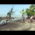 Story of Mysterious TARUA SEA BEACH and KUKRI MUKRI ISLAND | Travel Bangladesh