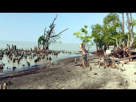 Story of Mysterious TARUA SEA BEACH and KUKRI MUKRI ISLAND | Travel Bangladesh