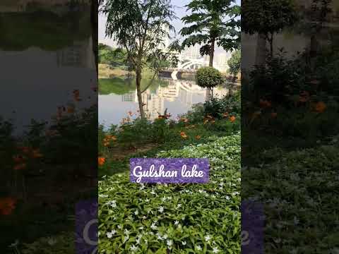 Gulshan lake। গুলশান লেক। #shorts #shortsvideo #reels #bangladesh #dhaka #travel