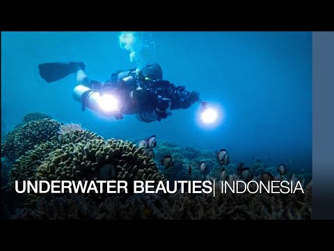 Man-made coral reefs of Indonesia