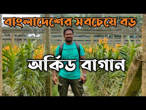 Largest Orchid Farm in Bangladesh | Dipta Orchids | Travel Vlog | Gispy Hirock | অর্কিড বাগান |