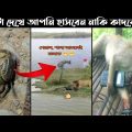 অস্থির প্রানী Part 1 | Bangla funny video | না হেসে যাবি কই | funny facts | facts bangla | mayajaal