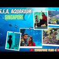 Singapore Travel From Bangladesh | Part6 | S.E.A. Aquarium | Dhaka to Singapore | সিংগাপুর ট্রাভেল |