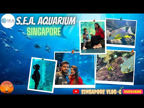 Singapore Travel From Bangladesh | Part6 | S.E.A. Aquarium | Dhaka to Singapore | সিংগাপুর ট্রাভেল |