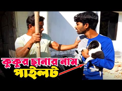 আপনার লাইফেও কি এমন ঘটনা আছে? | Bangla Funny Video | Hello Noyon