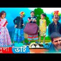 Dula Bhai  দুলা ভাই | Bangla Funny Video | Bangla Natok Video | Bangla Comedy Video | HD Halim Tv