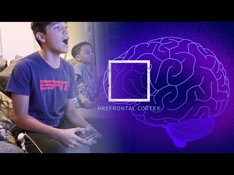 This Is Your Child's Brain on Videogames | WSJ