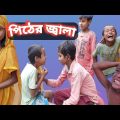 পিঠের জ্বালা || Bangla Funny Video || Bangla Natok || Sunday Music ||