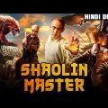 Shaolin Master (Full Movie) | Hindi Dubbed Action Movies | Chinese Action Movie 2022